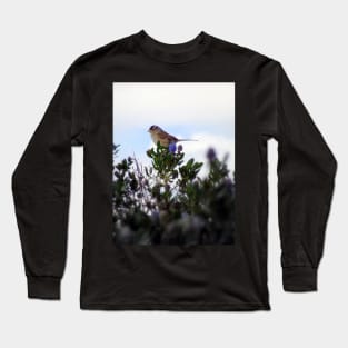 White crowned sparrow in a blue blossom Ceanothus Thyrsiflorus bush 2 Long Sleeve T-Shirt